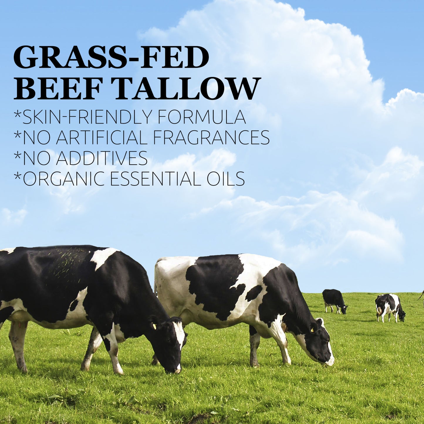 Hand Mixed Beef Fat Cream - Gentle And Moisturizing, Rich In Organic Lavender Essential Oil And Olive Oil