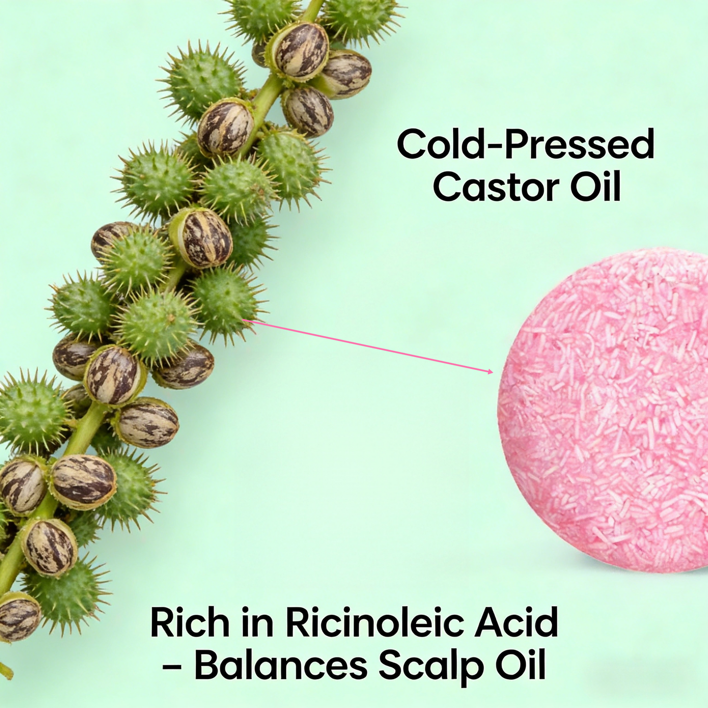 60g Castor Oil Solid Shampoo Bar – Natural Hair Growth & Anti-Hair Fall, Zero Waste Vegan Shampoo for All Hair Types