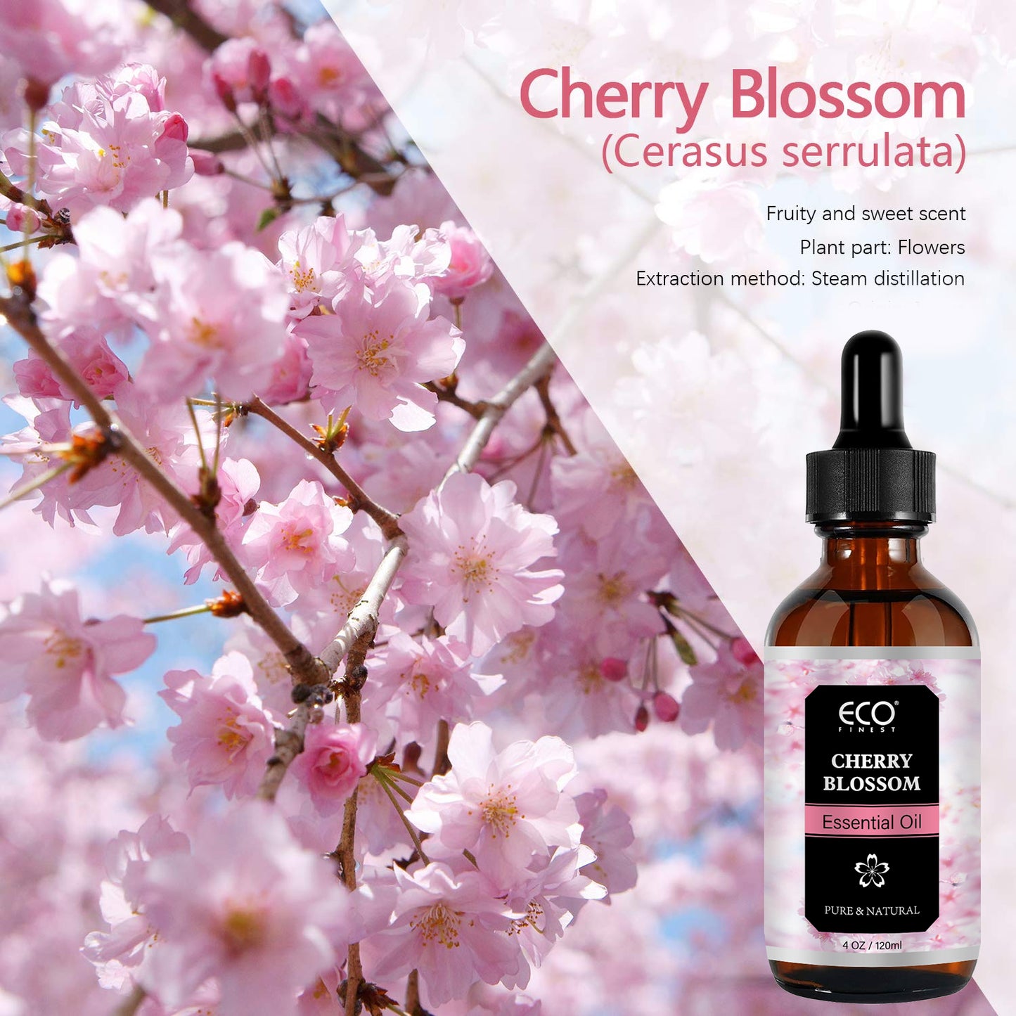 120ml Cherry Blossom Essential Oil – Pure & Natural Floral Scent for Aromatherapy, Diffuser, Skin & Hair Care